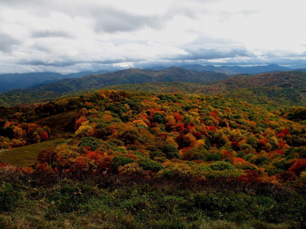 Hampton Inn Asheville - Biltmore Area 외부 사진